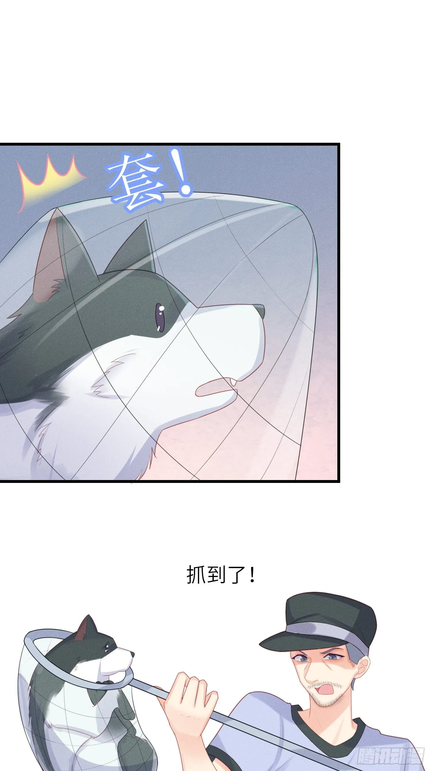 人类的好朋友 第29页