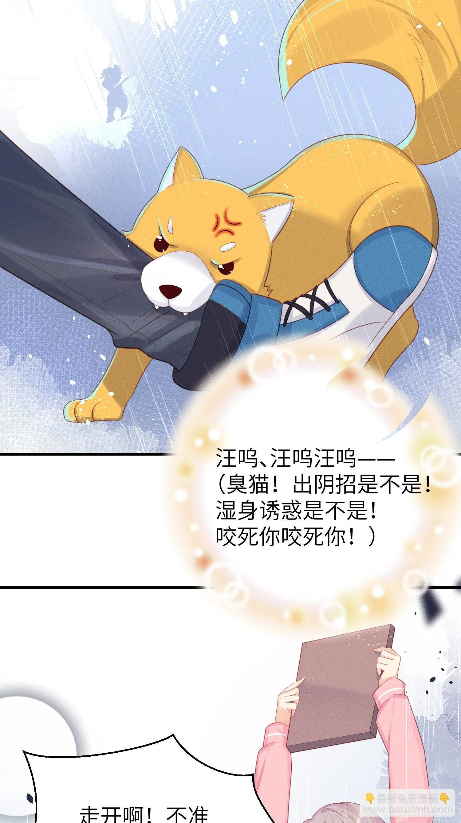 做绝育了么？ 第4页