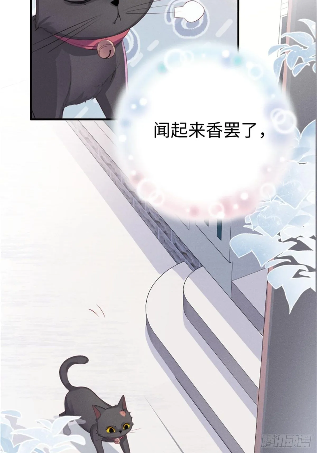 喵夫子有言：曲线救国 第20页