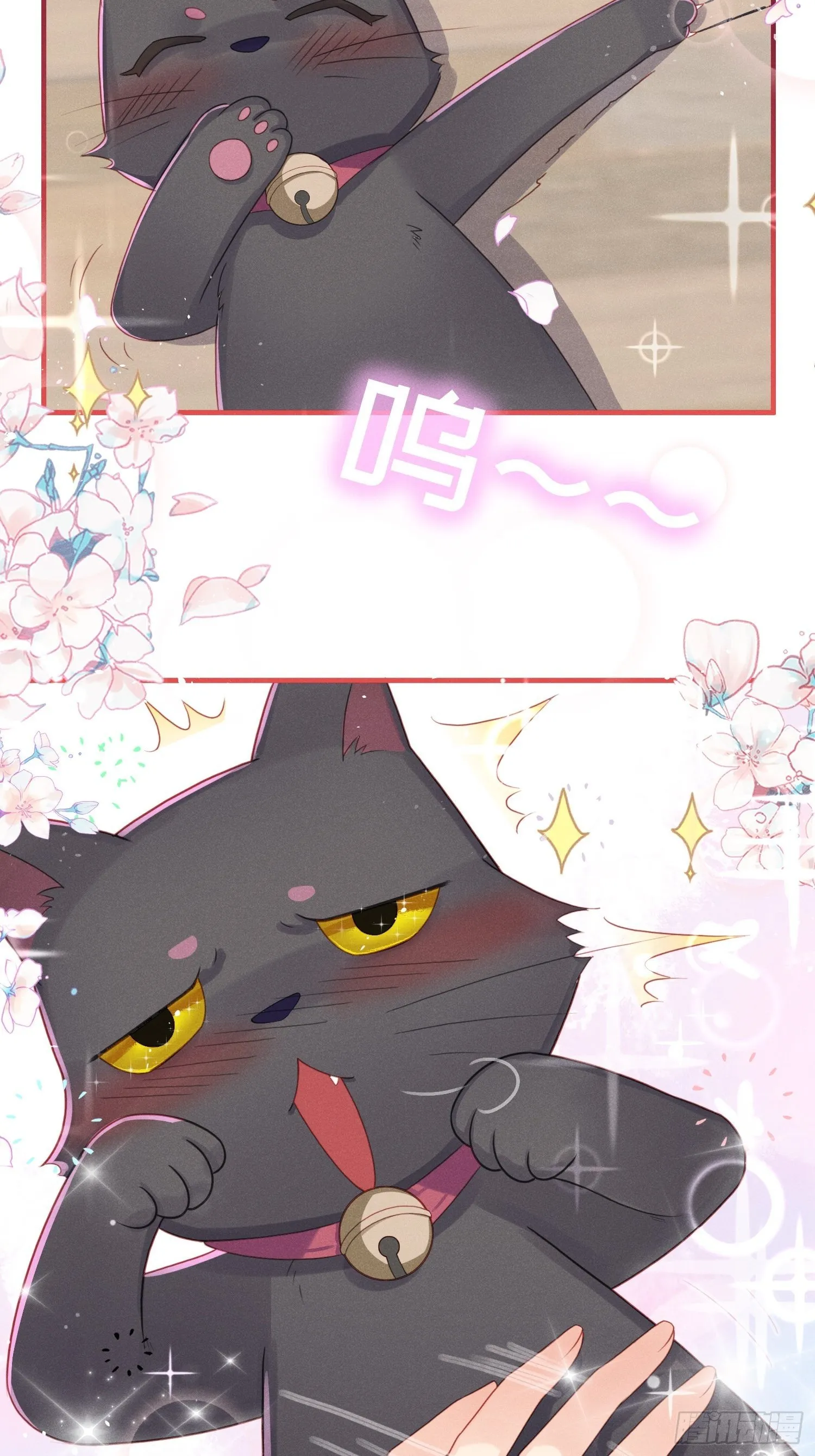 愚蠢的人类在对本喵做什么？！ 第21页