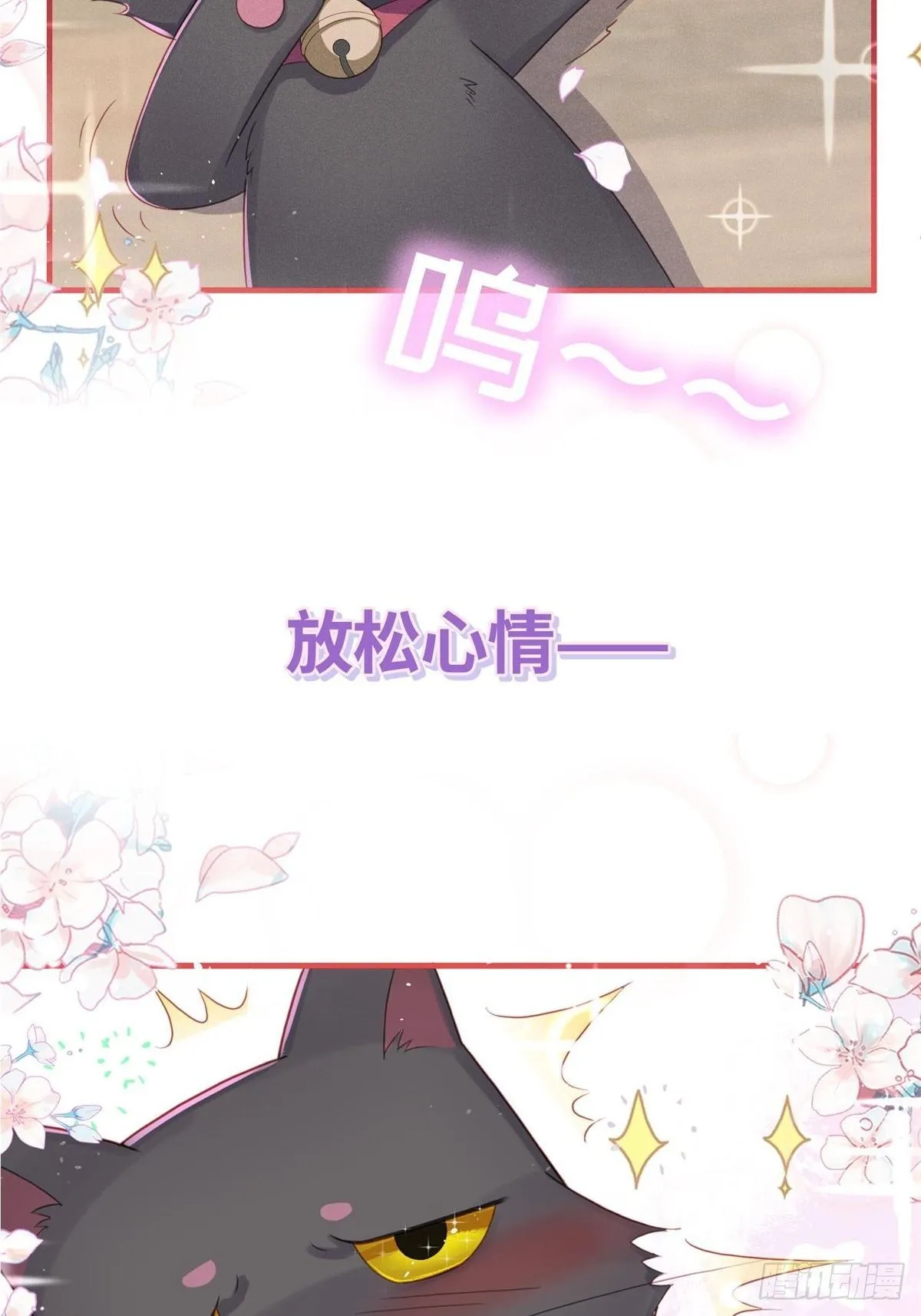 愚蠢的人类在对本喵做什么？！ 第47页