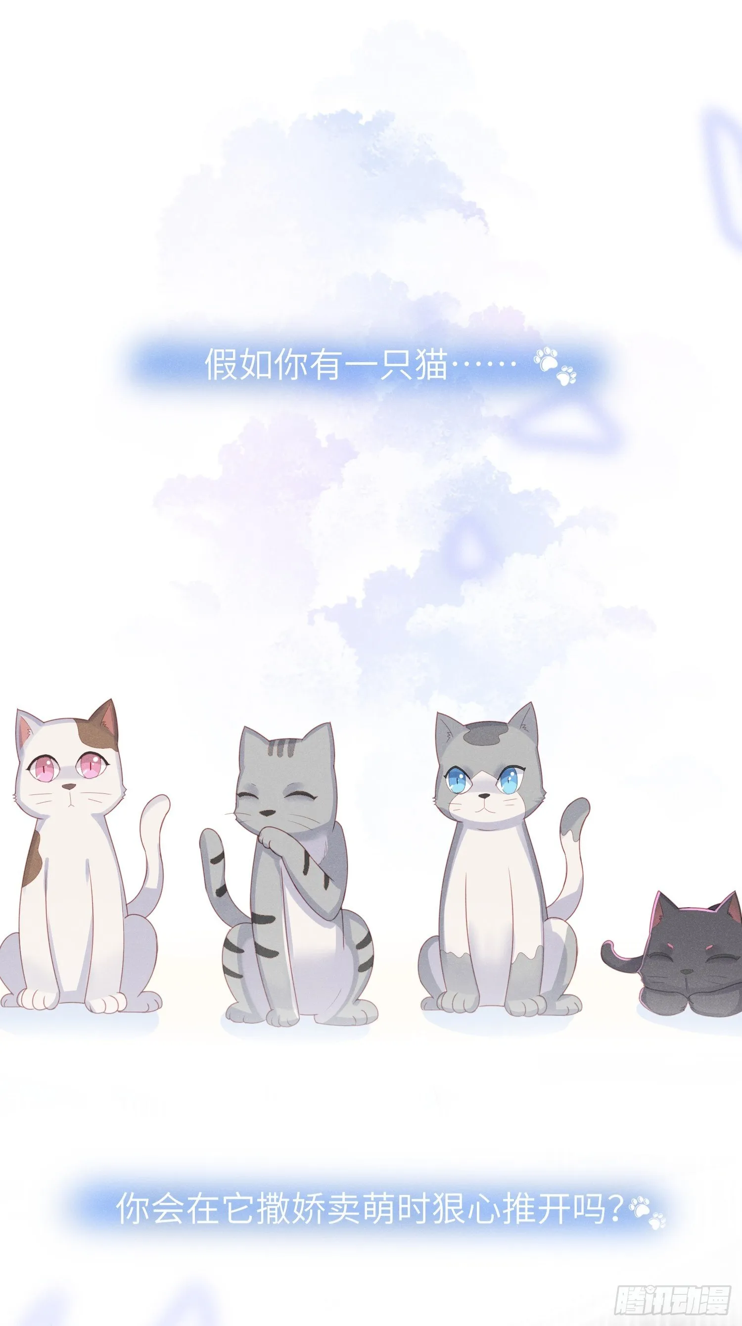 赌上喵的尊严！ 第3页