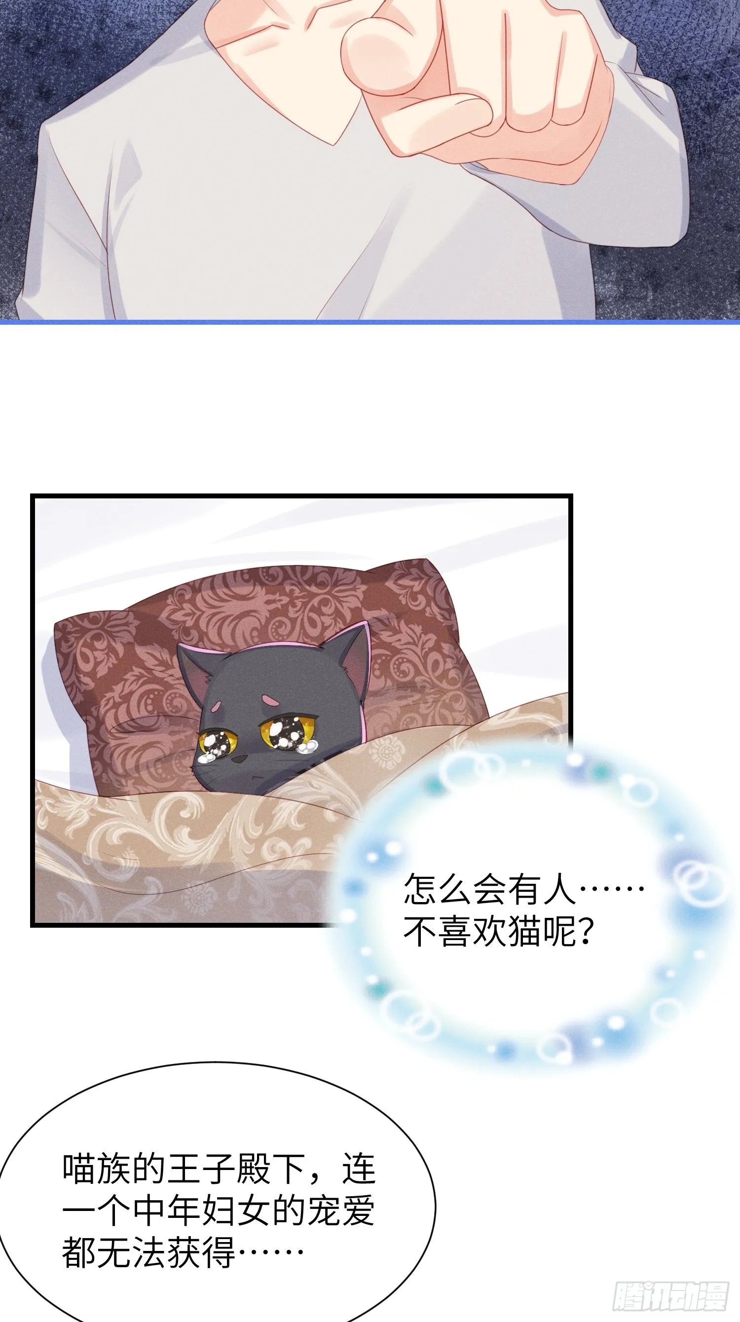 赌上喵的尊严！ 第6页