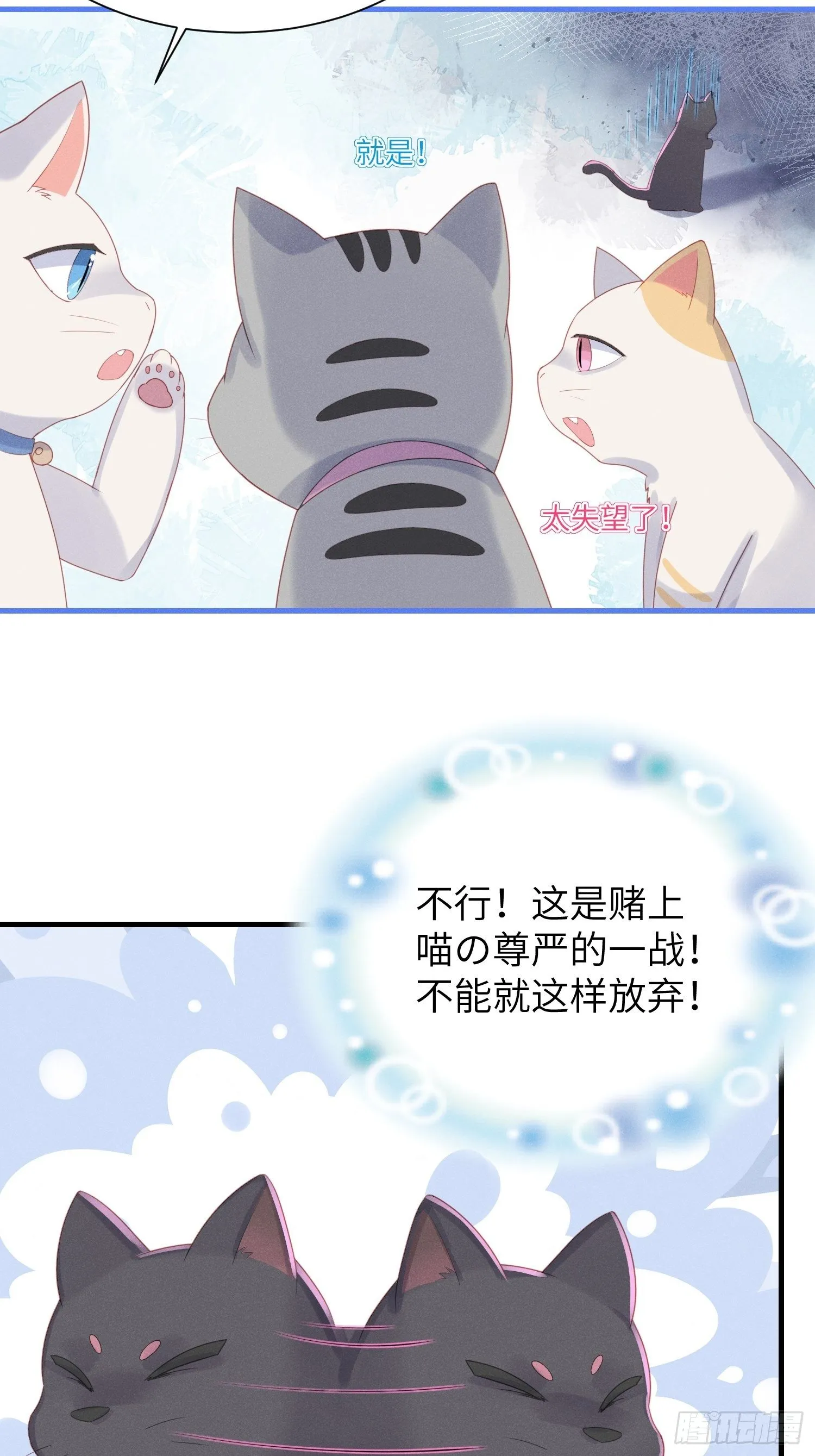 赌上喵的尊严！ 第7页