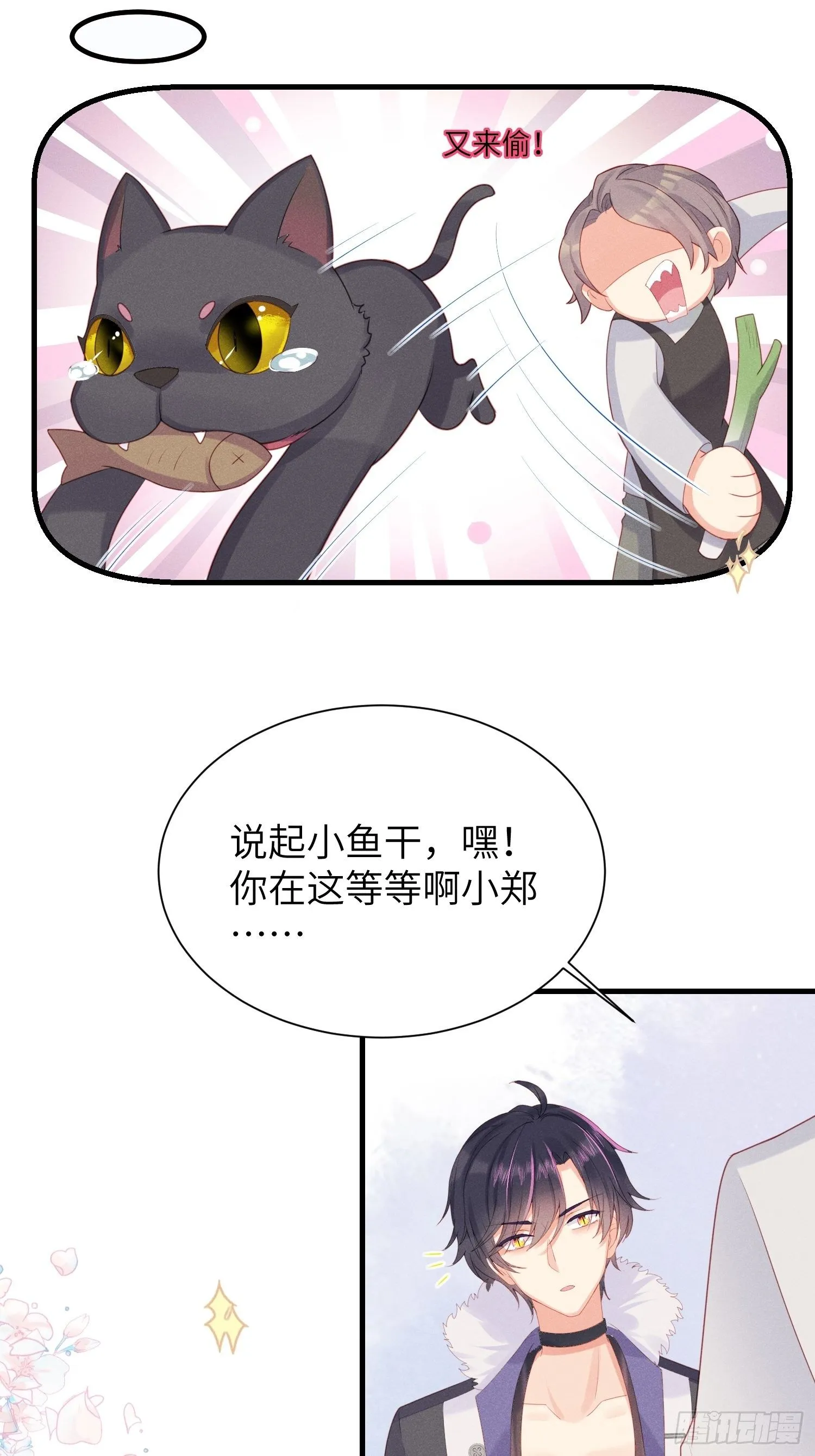 赌上喵的尊严！ 第16页