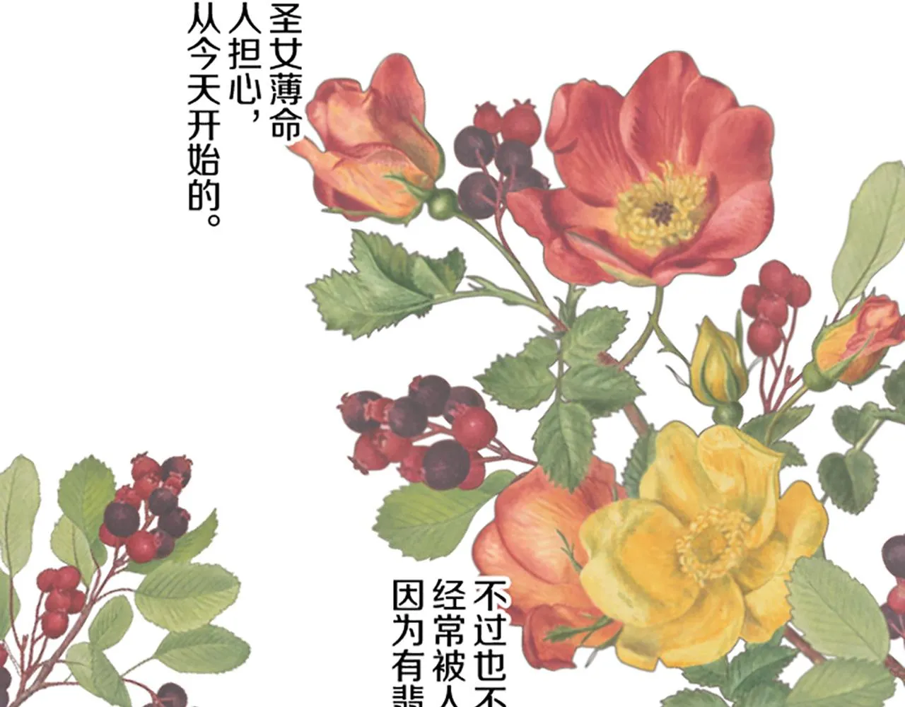 第97话 诞辰庆典 第28页