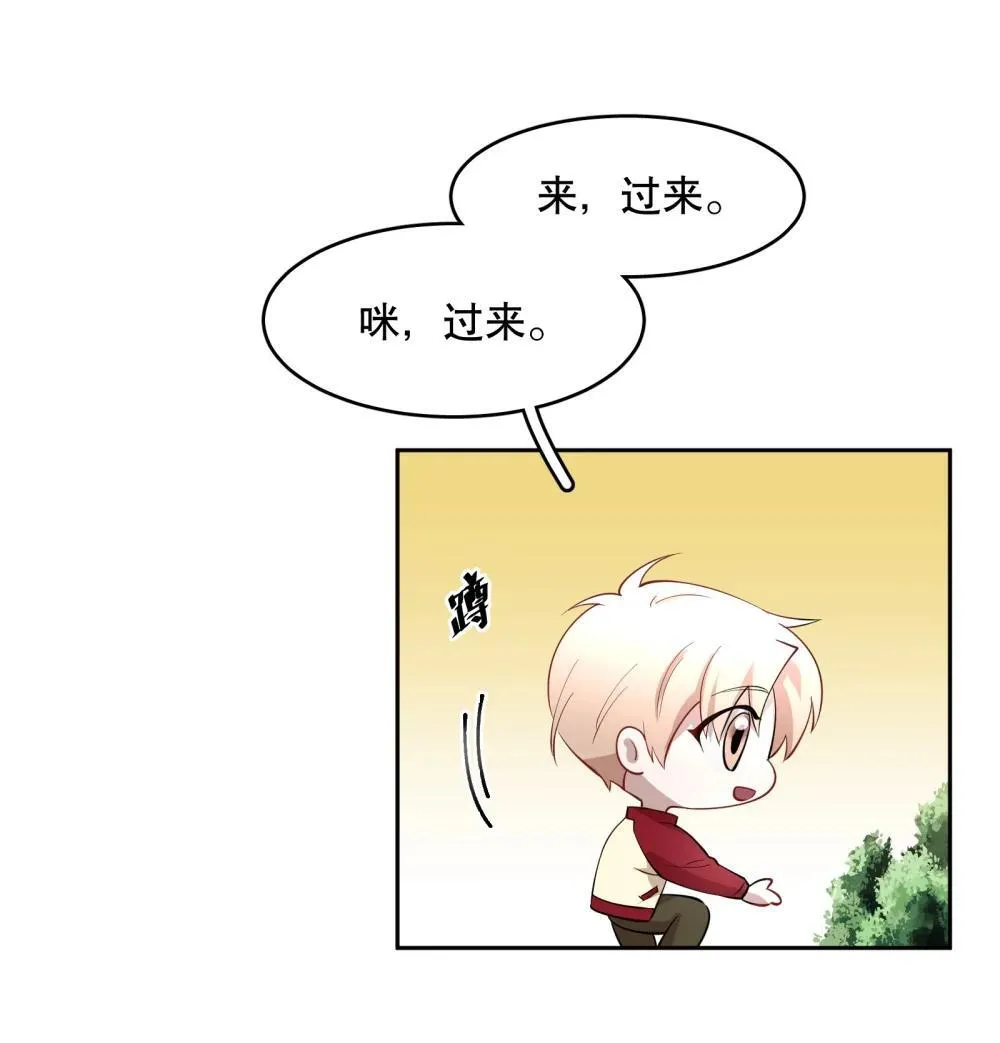 第96章 小尾巴 第24页