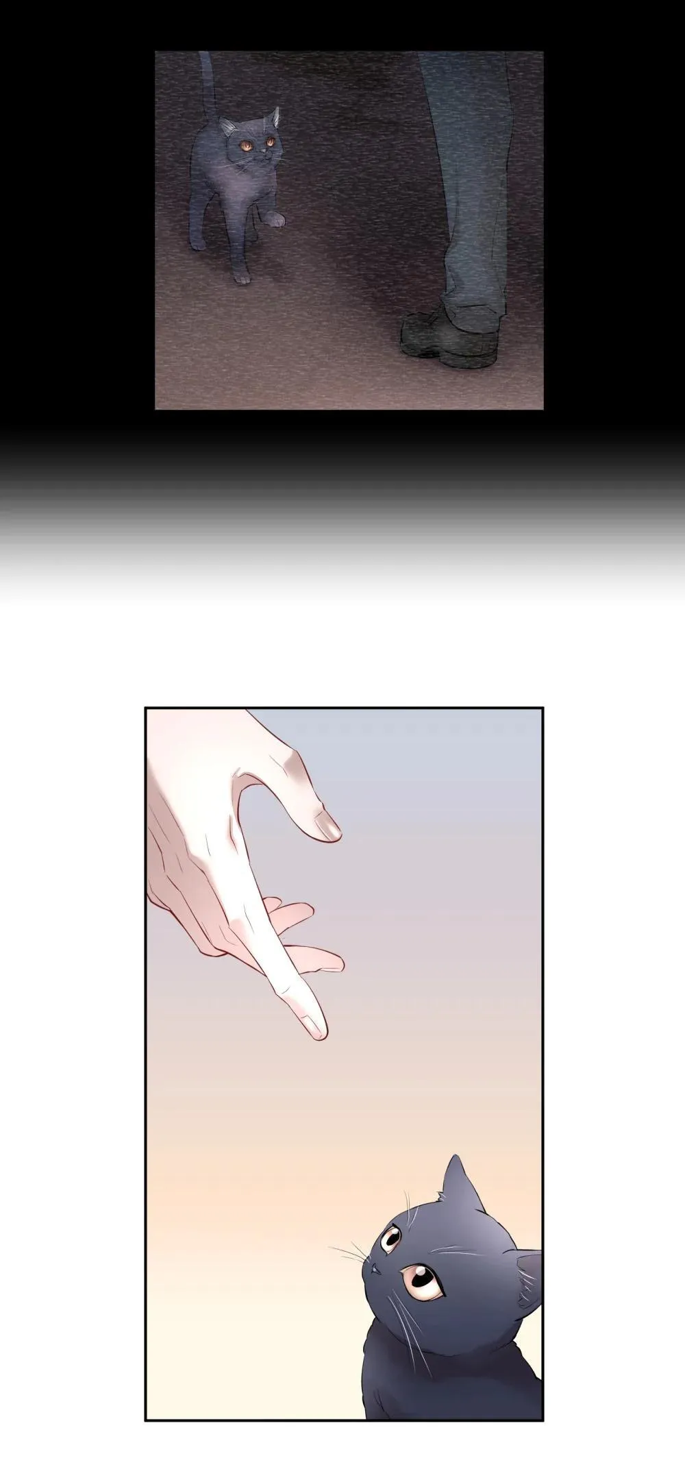 第96章 小尾巴 第27页