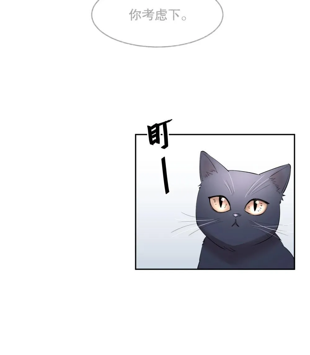 第97章 “故猫” 第4页