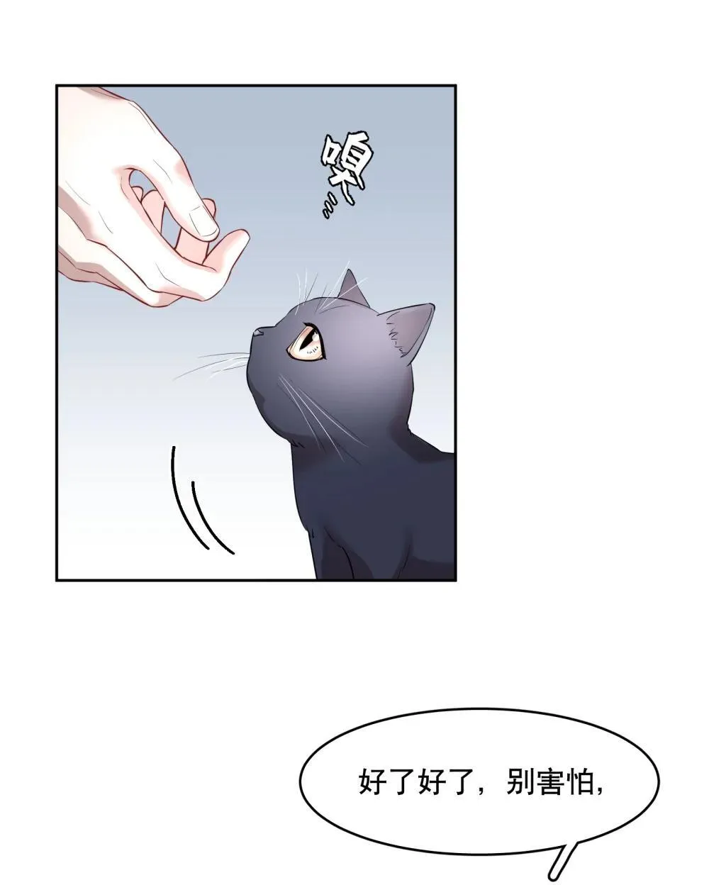 第97章 “故猫” 第5页