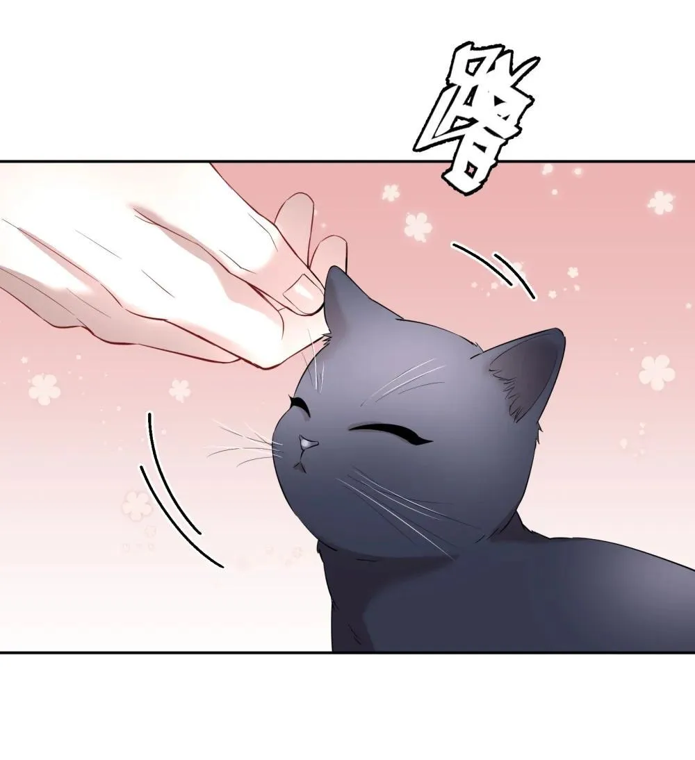 第97章 “故猫” 第7页