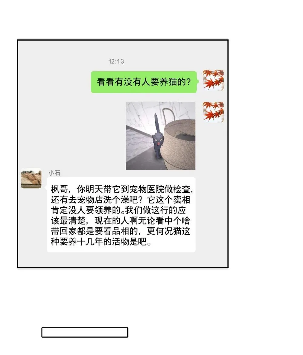 第97章 “故猫” 第12页