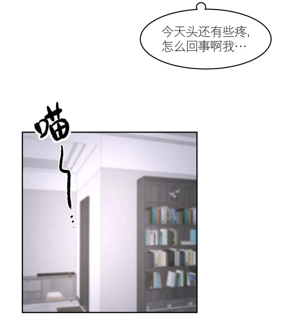 第97章 “故猫” 第19页
