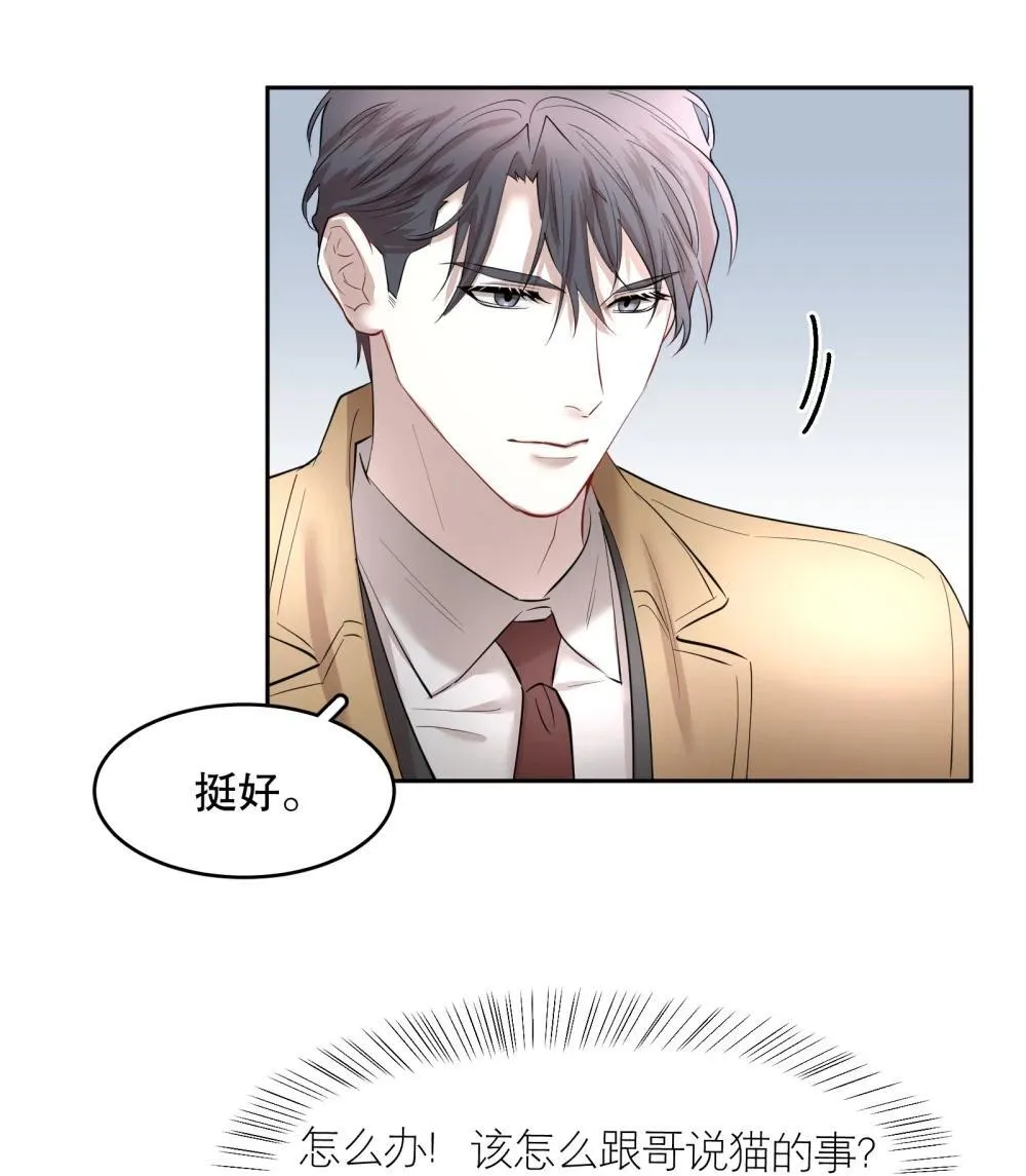 第97章 “故猫” 第28页