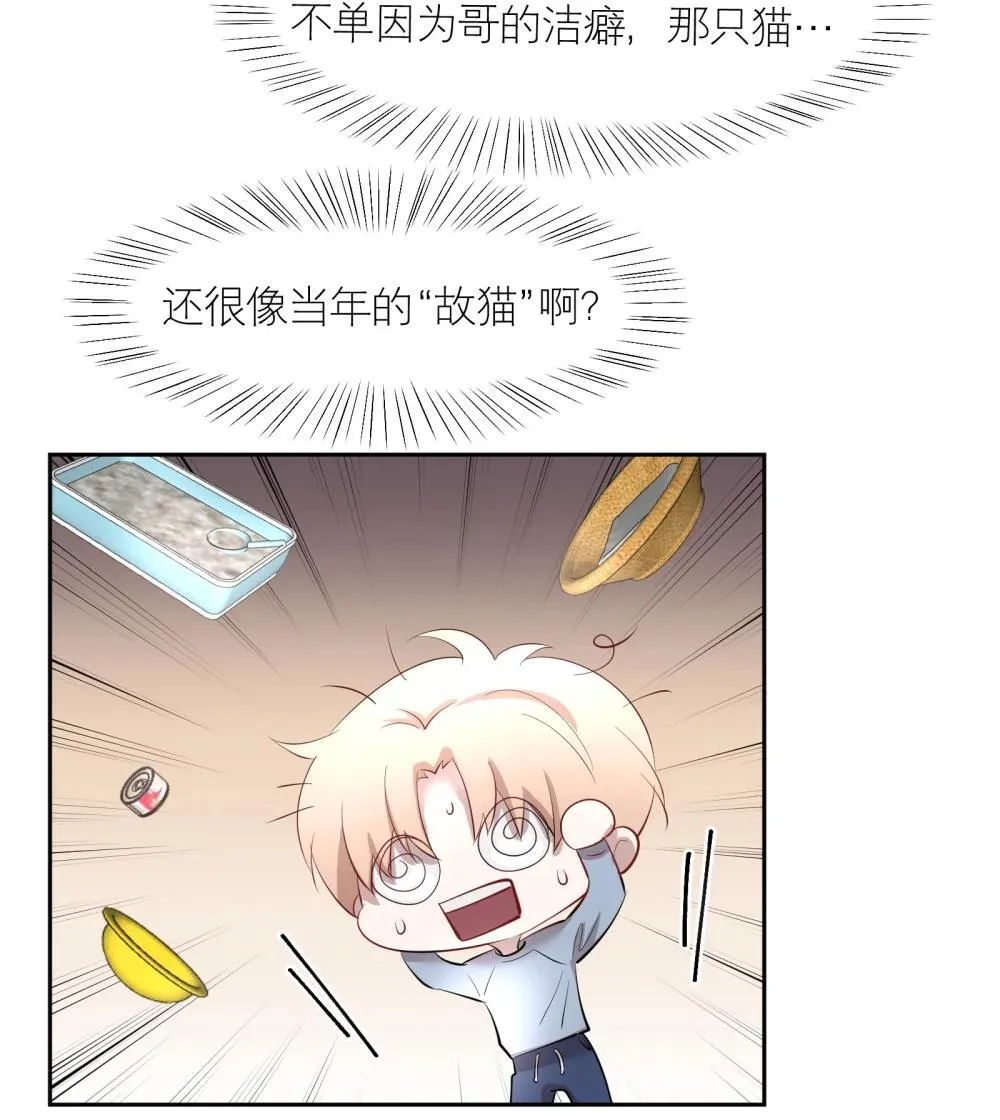 第97章 “故猫” 第29页