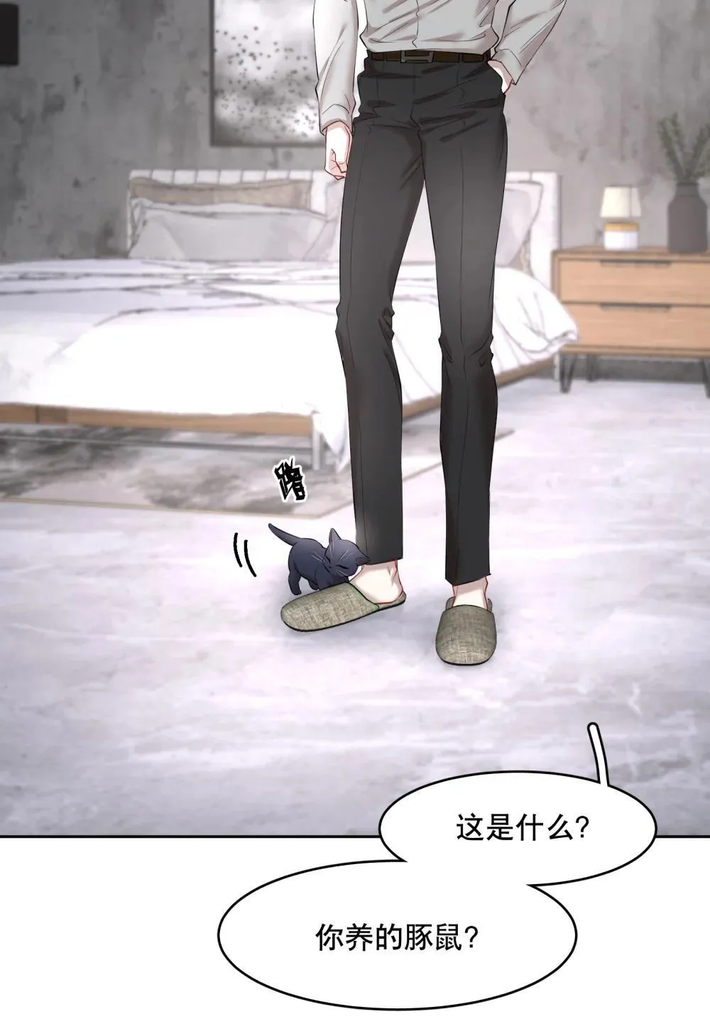 第97章 “故猫” 第31页