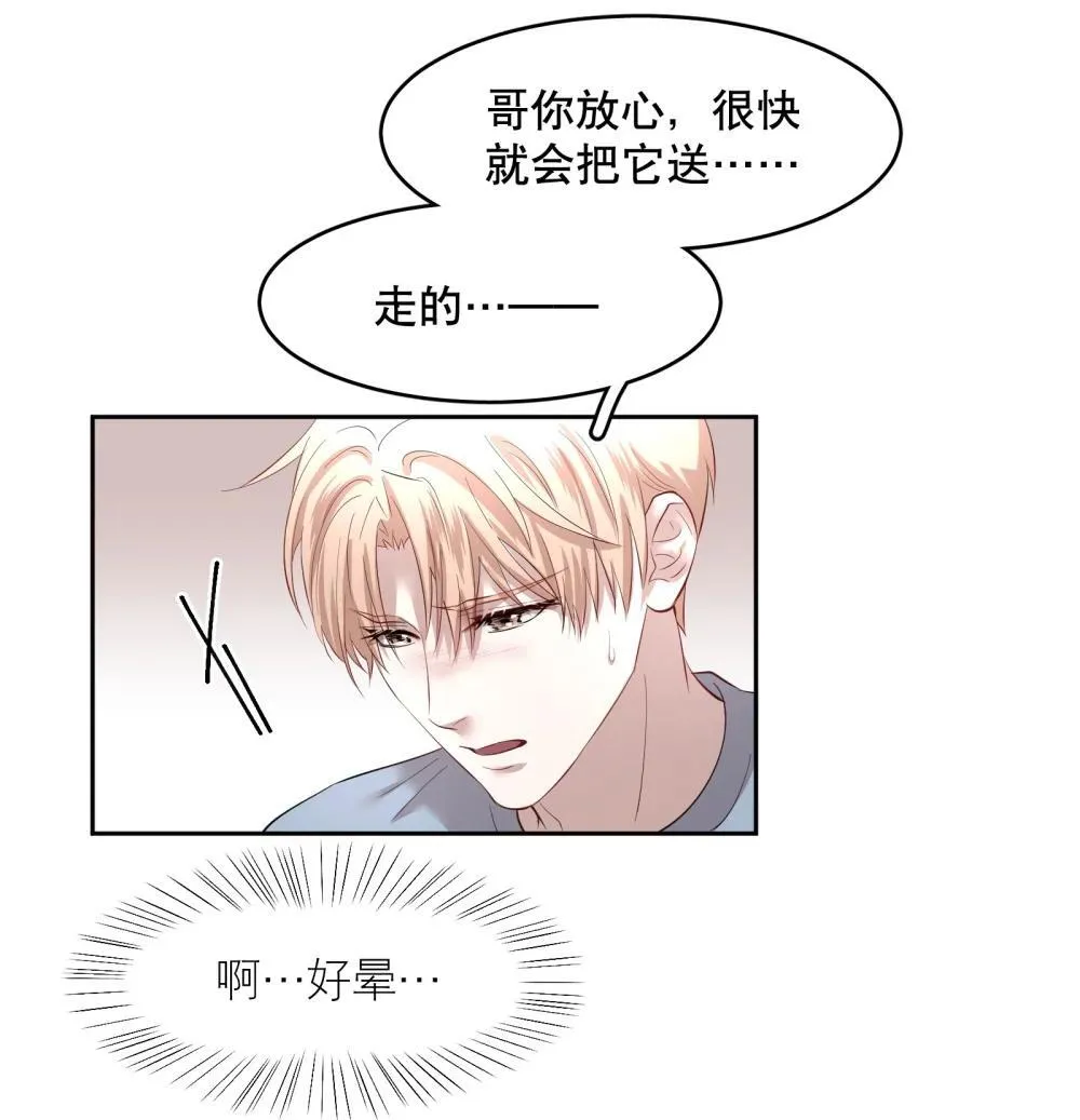第97章 “故猫” 第33页