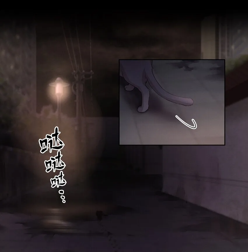 第1章 我就是陆枫 第10页