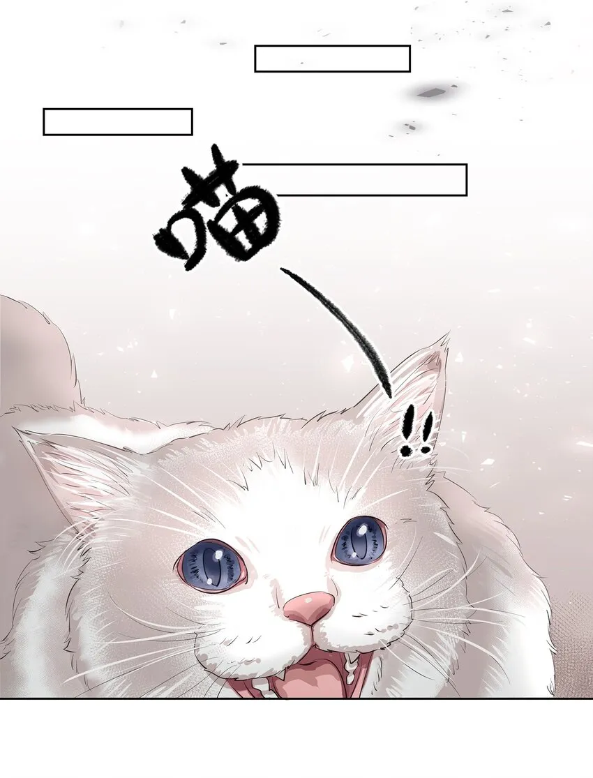 第1章 我就是陆枫 第12页