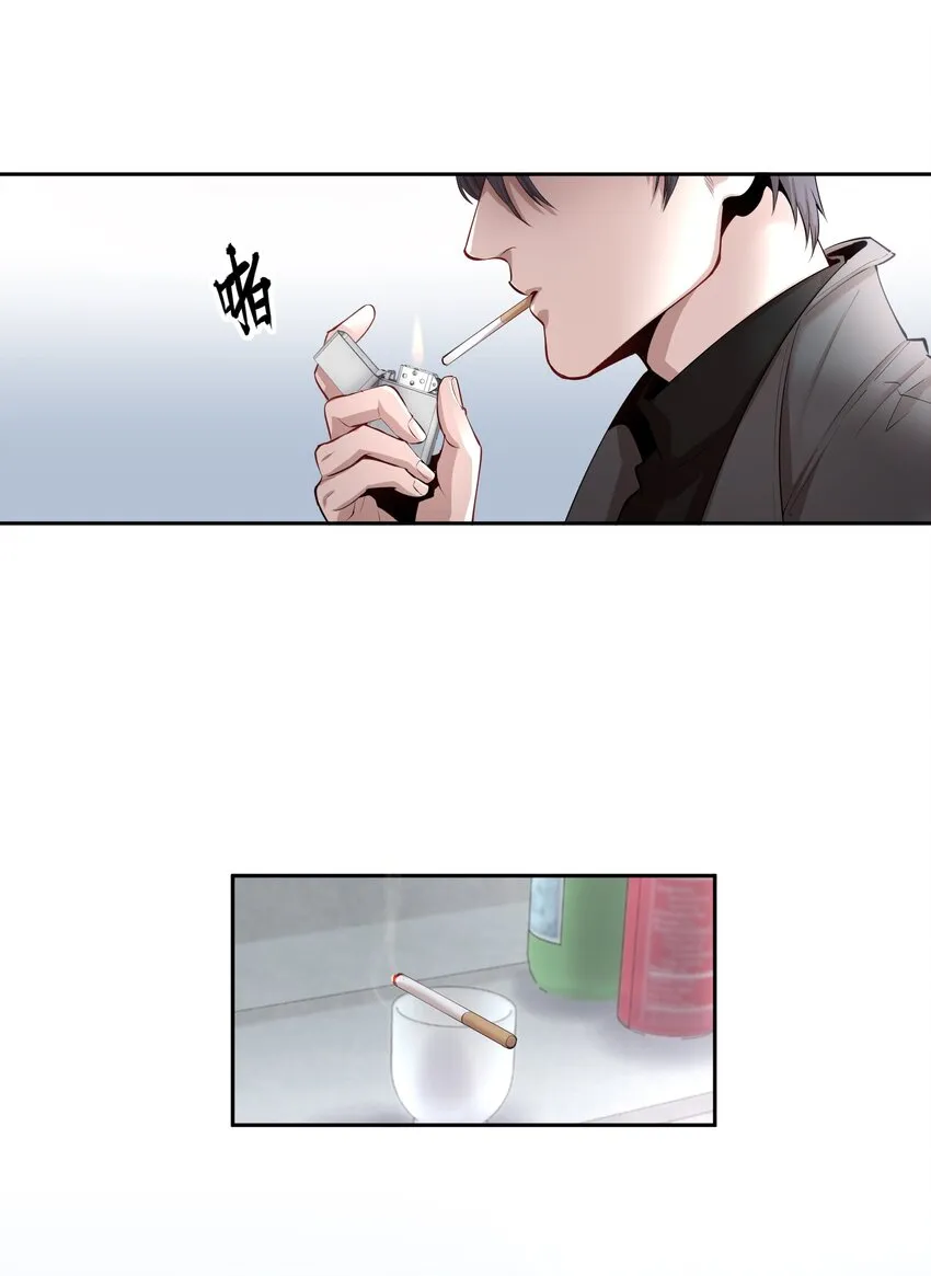 第6章 洁白如美玉的鸥鸟 第5页