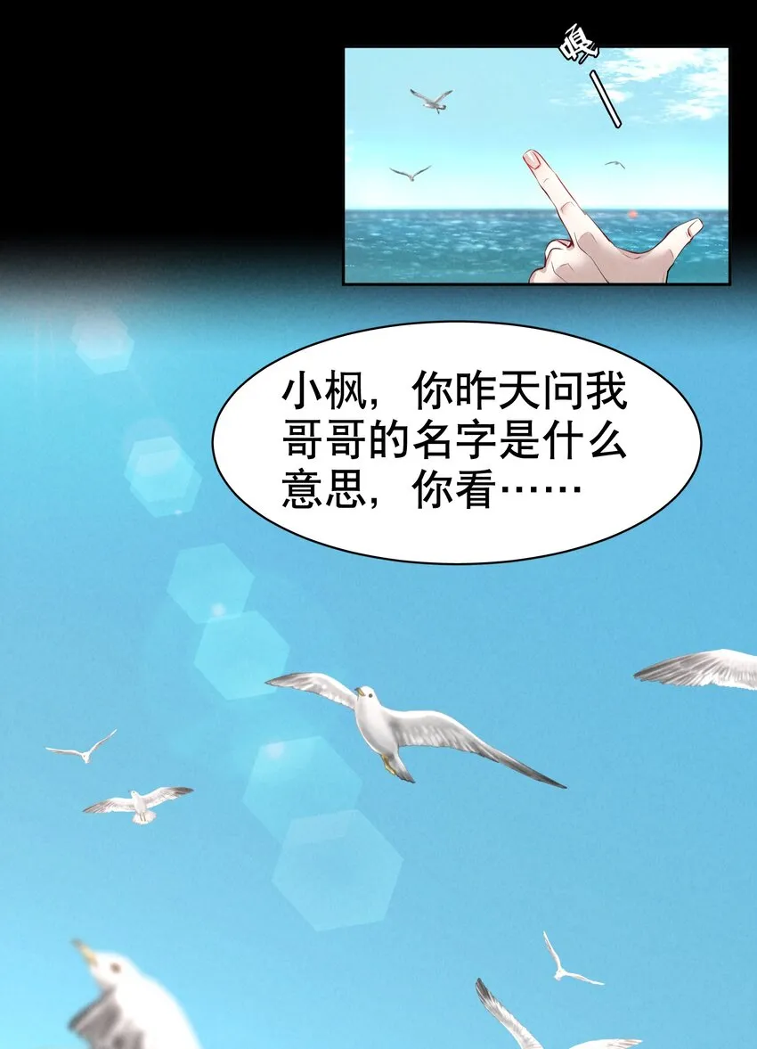 第6章 洁白如美玉的鸥鸟 第25页