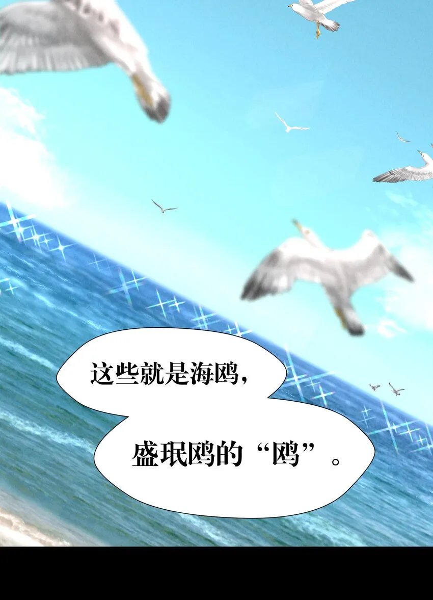 第6章 洁白如美玉的鸥鸟 第26页