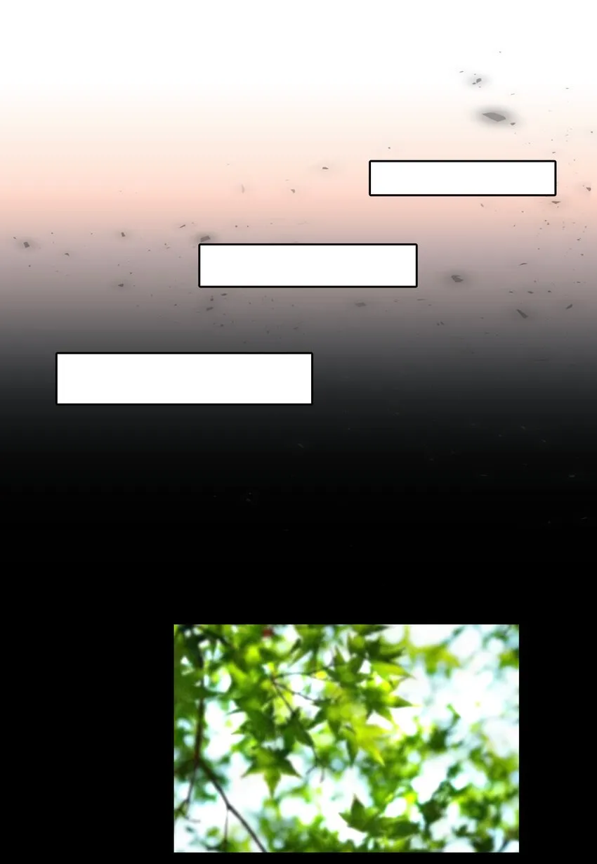 第9章 有风有木 第5页