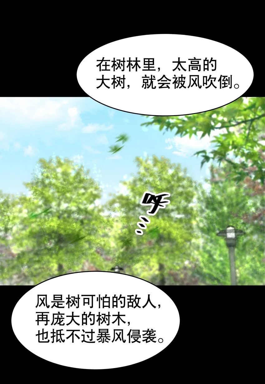 第9章 有风有木 第9页