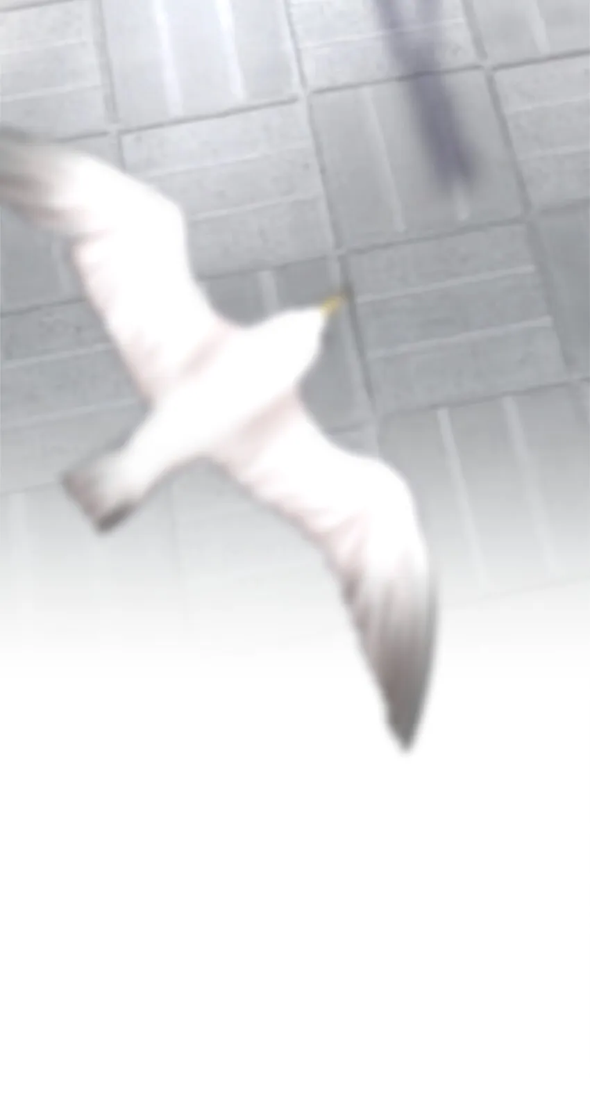 第37章 只在上空盘旋飞舞 第46页