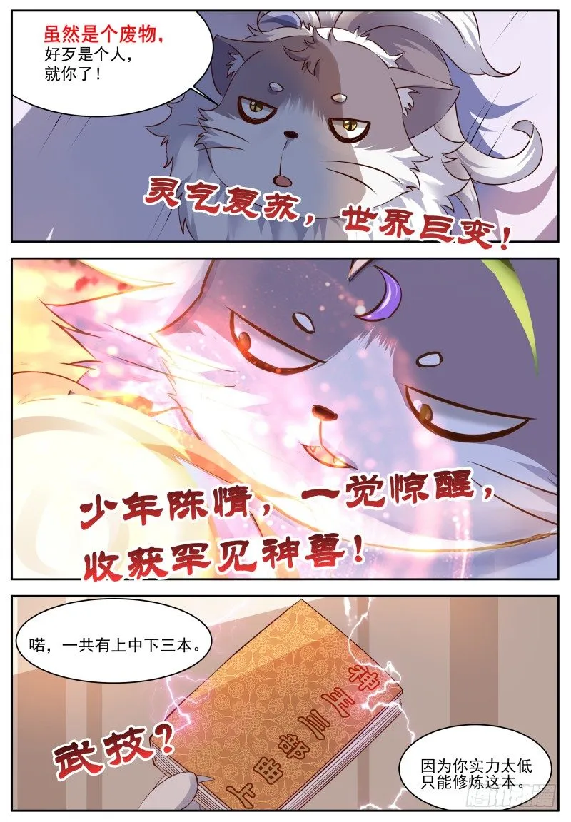 预告 成神套餐 撸猫就送 第3页