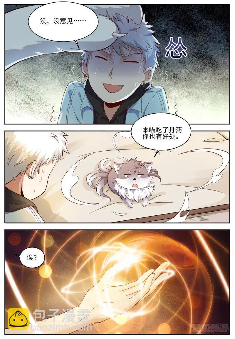 第5话 喵哥也记仇！ 第5页