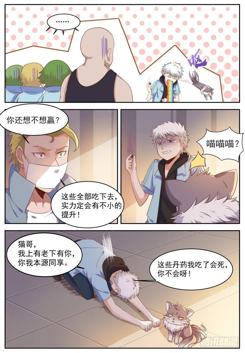第8话 大型虐猫现场 第4页
