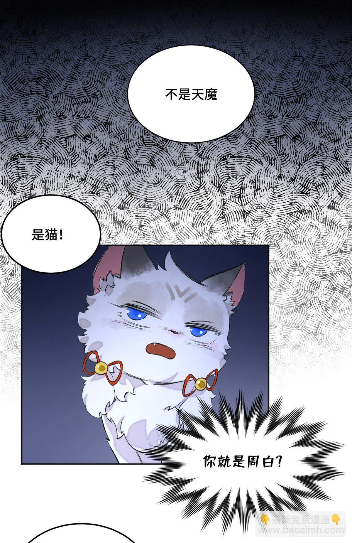 05 怪猫本体 第2页