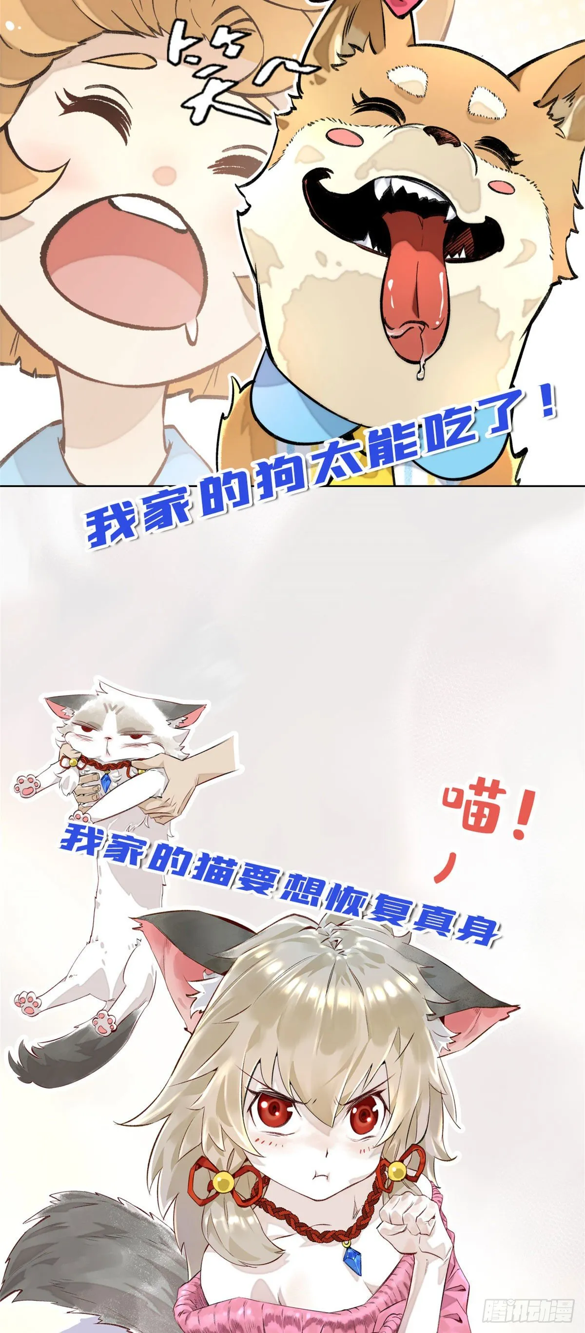公告 第2页