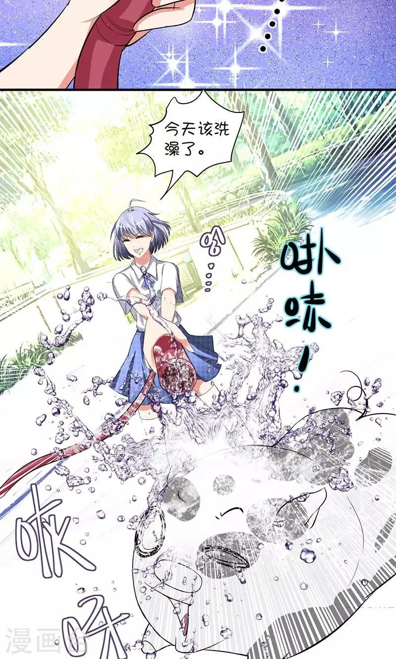 第1话 被退婚有什么了不起 第19页