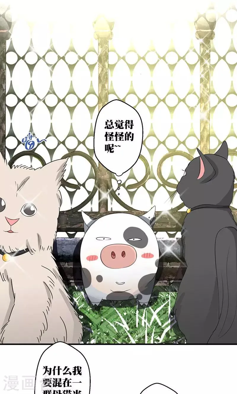 第3话 你的精神是怎么回事啊 ？ 第11页