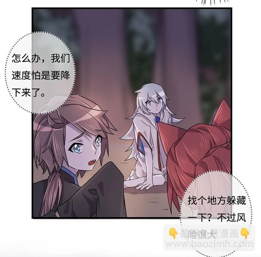 赤色胡狼 第18页