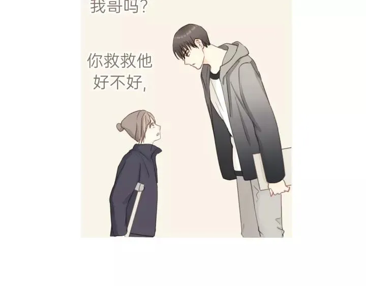 第80话 哥哥的幸福，我来捍卫 第15页
