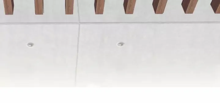 第37话 被他迷惑？ 第77页