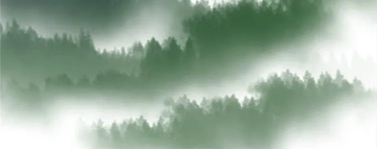 第2集 第41页