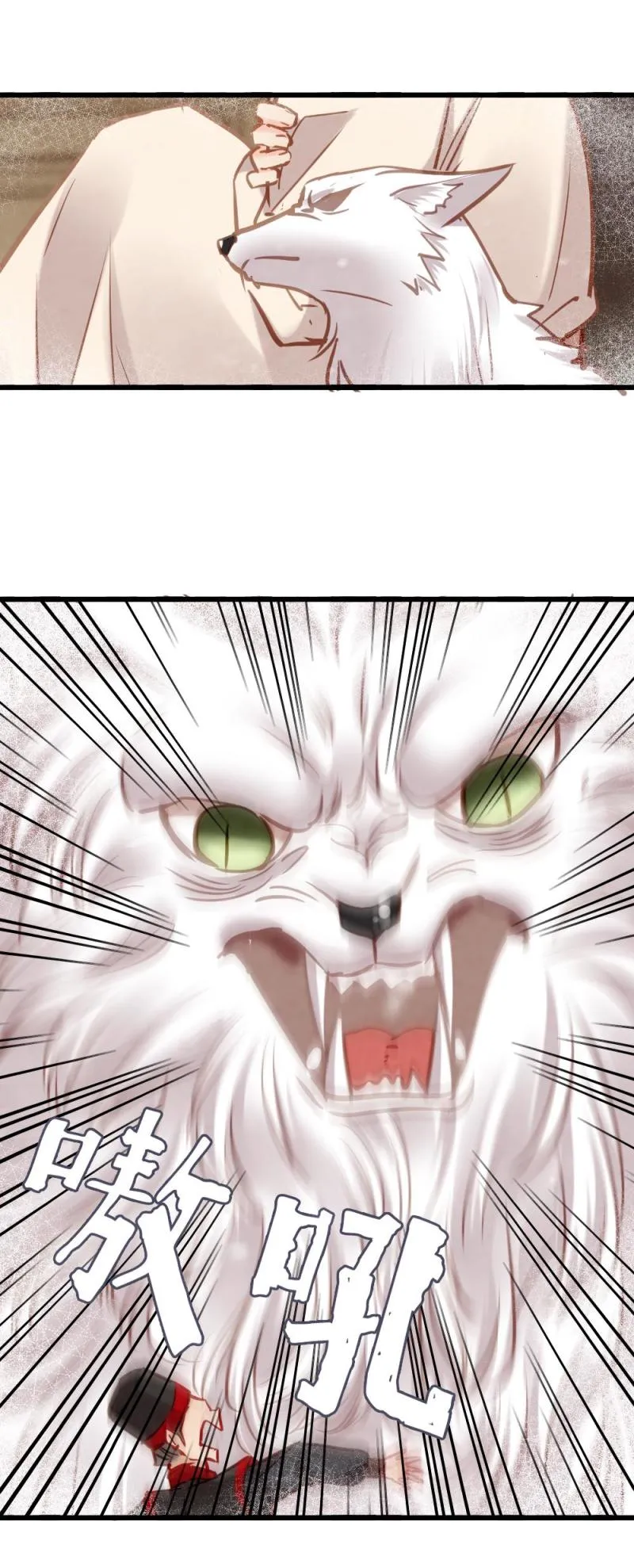 107 第17页