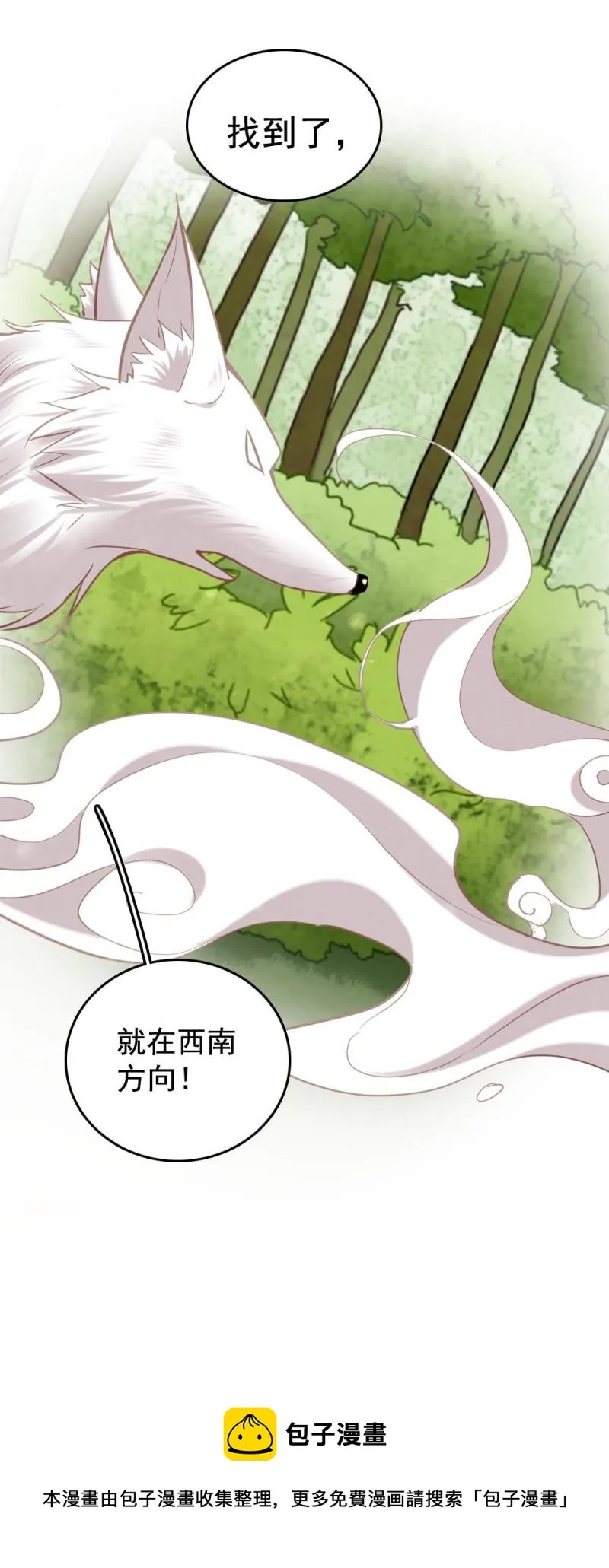 108 -祭神木偶 第21页
