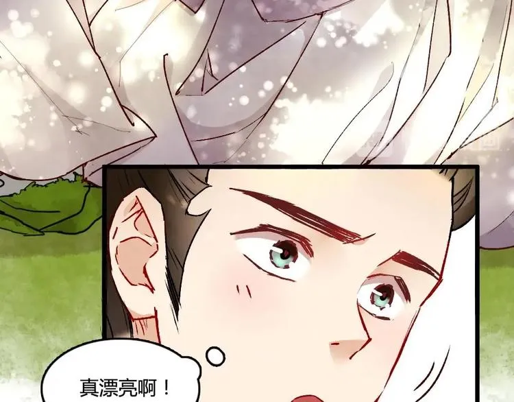 3 第17页
