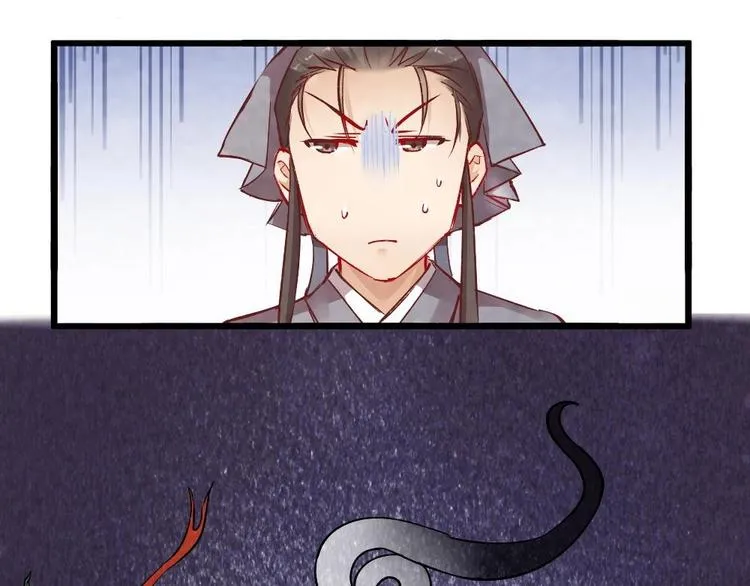 11 第4页