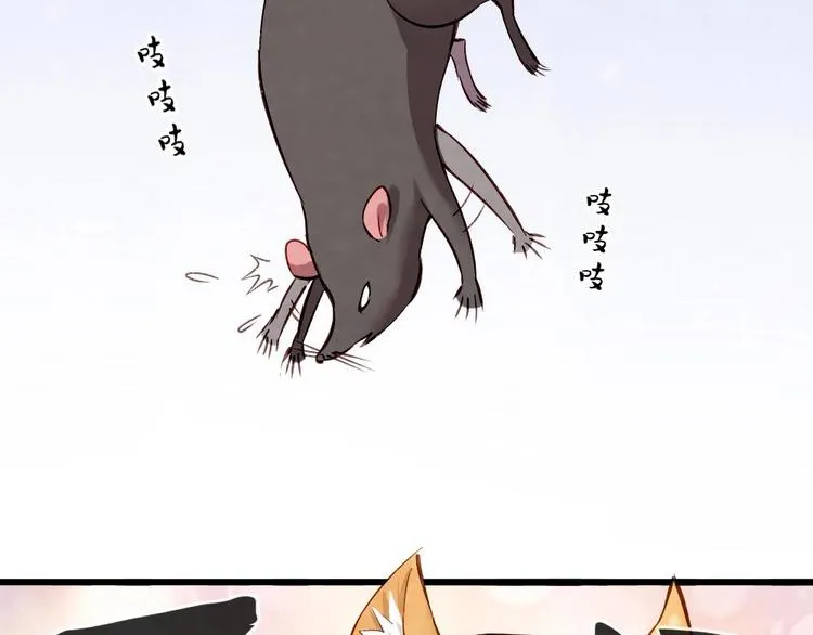 16 第17页