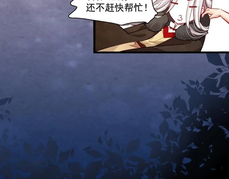 17 第13页