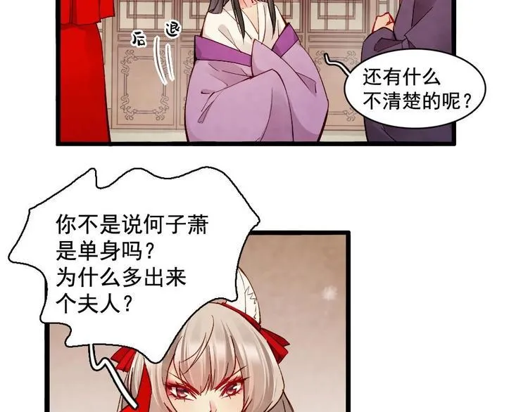 17 第41页