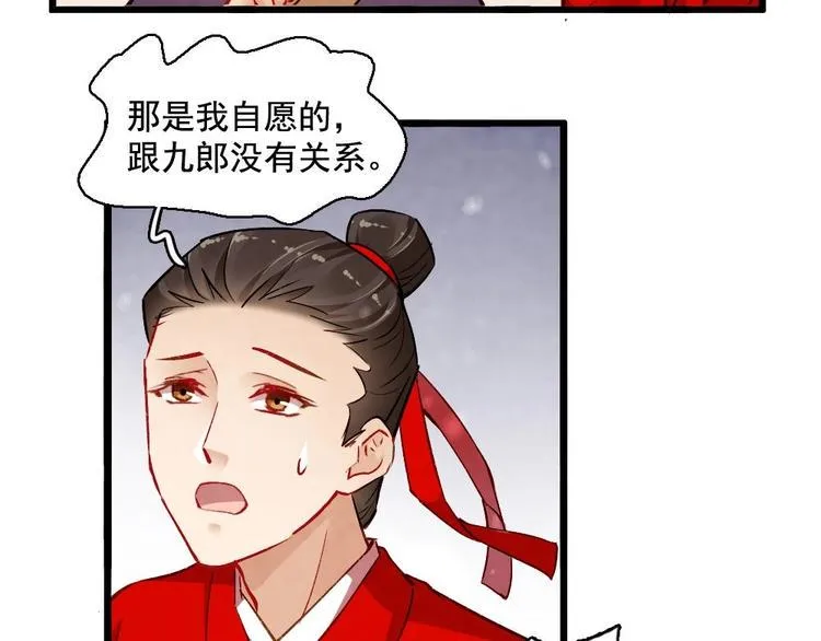 17 第48页