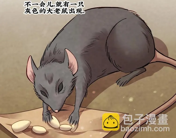 18 第17页