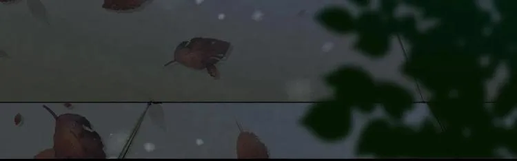 19 第5页